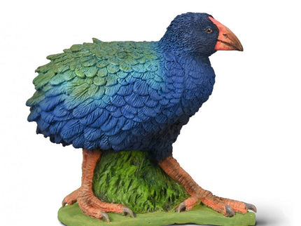 CALAMÓN TAKAHE -M- 80041 COLLECTA