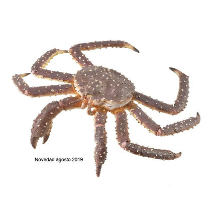 CANGREJO REAL - XL - 88851 - COLLECTA