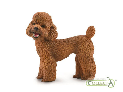 CANICHE - M - 88880 - COLLECTA
