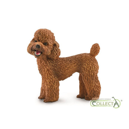 CANICHE - M - 88880 - COLLECTA