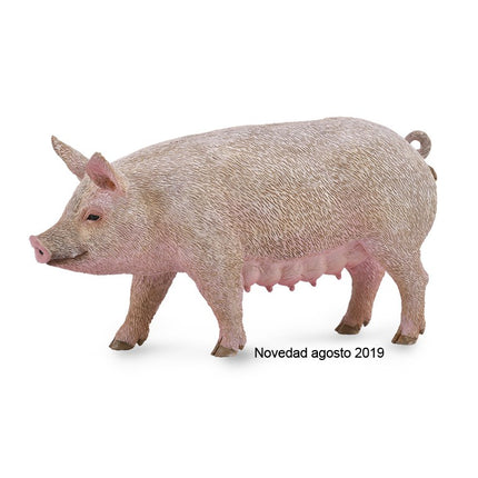 CERDA HEMBRA - M - 88863 - COLLECTA