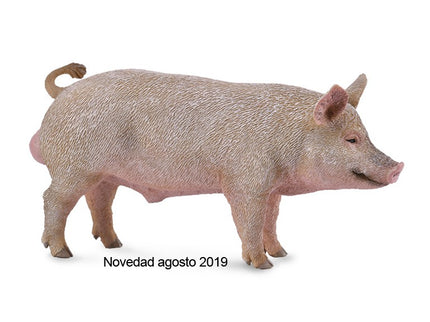 CERDO MACHO - M - 88864 - COLLECTA