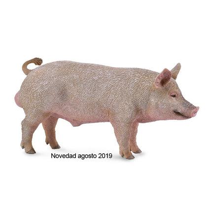 CERDO MACHO - M - 88864 - COLLECTA