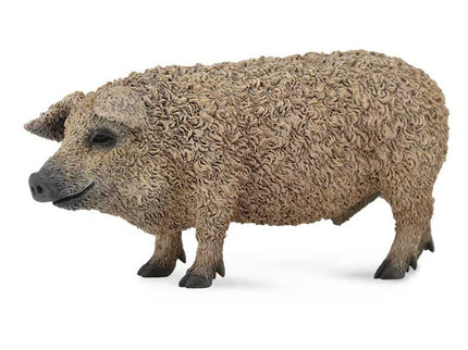 CERDO MANGALICA -M- 88674 COLLECTA