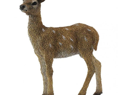 CERVATILLO -S- 88471 COLLECTA