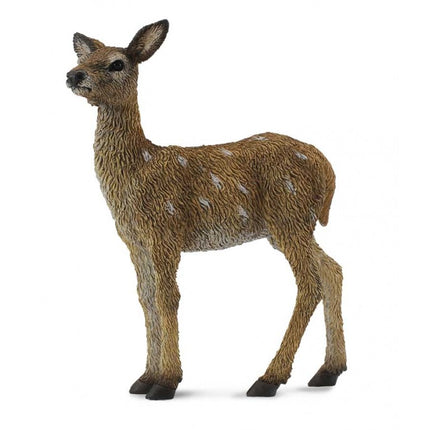 CERVATILLO -S- 88471 COLLECTA