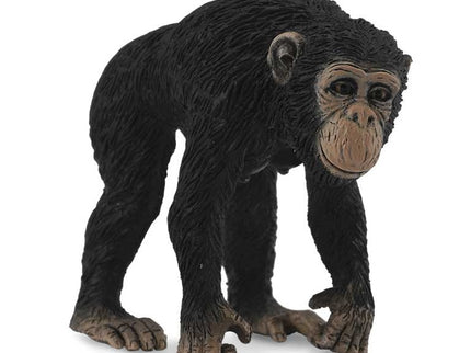 CHIMPANCE HEMBRA -M- 88493 COLLECTA