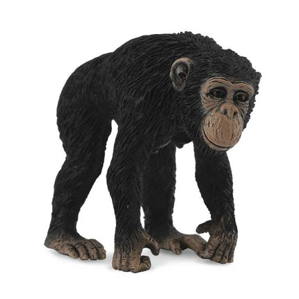 CHIMPANCE HEMBRA -M- 88493 COLLECTA