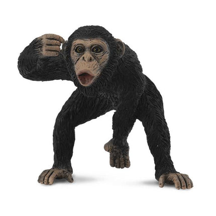 CHIMPANCE MACHO -M- 88492 COLLECTA