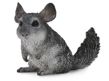 CHINCHILLA DE COLA LARGA -M- 88722 COLLECTA
