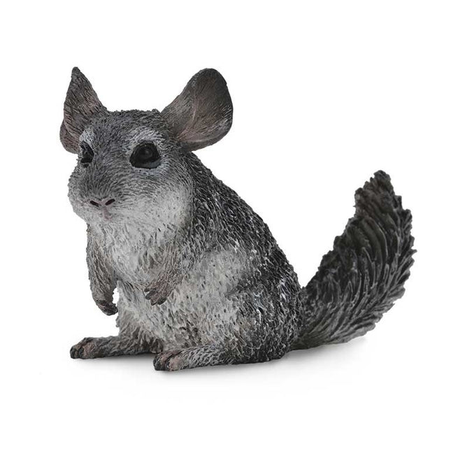 CHINCHILLA DE COLA LARGA -M- 88722 COLLECTA