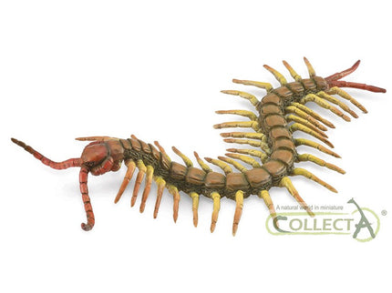 CIENPIES - L - 88885 - COLLECTA