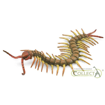 CIENPIES - L - 88885 - COLLECTA