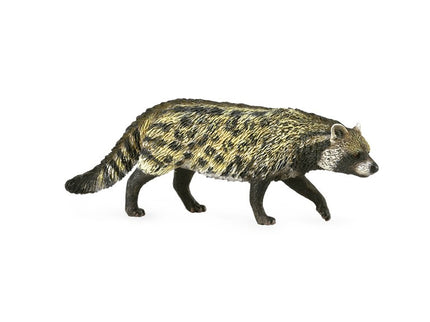 CIVETA AFRICANA - M - 88824 - COLLECTA