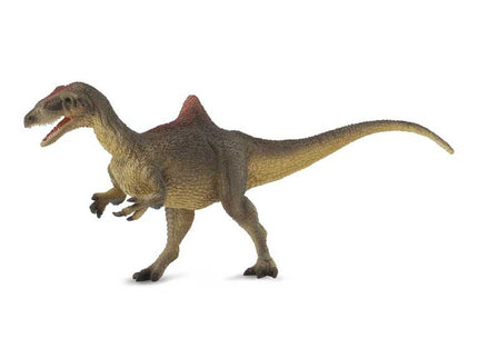 CONCAVENATOR -L- 88515 COLLECTA