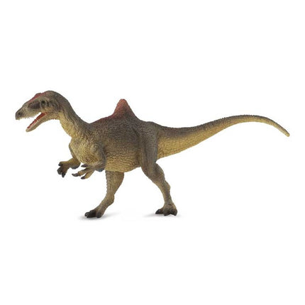 CONCAVENATOR -L- 88515 COLLECTA