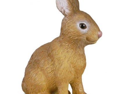 CONEJO -S- 88002 COLLECTA