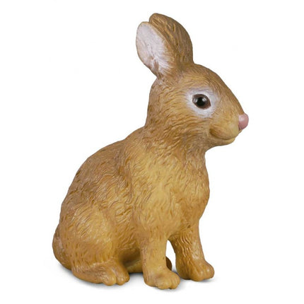 CONEJO -S- 88002 COLLECTA