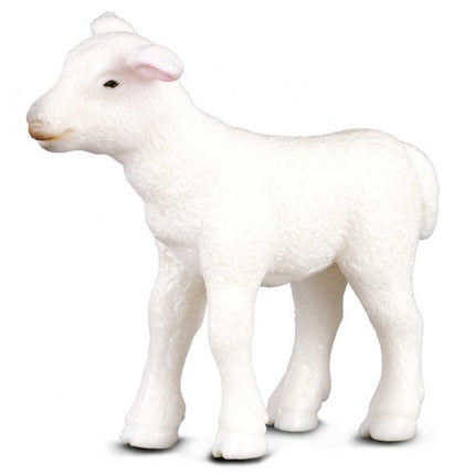 CORDERO -S- 88009 COLLECTA