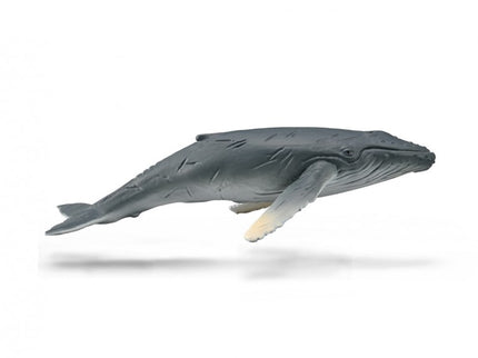 CRÍA DE BALLENA JOROBADA - M - 88963 - COLLECTA
