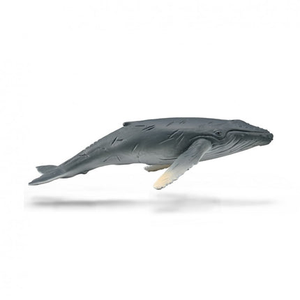 CRÍA DE BALLENA JOROBADA - M - 88963 - COLLECTA