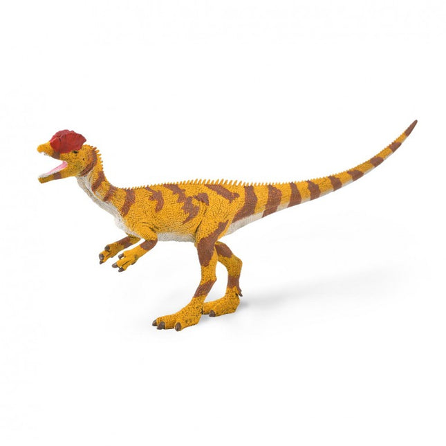 DILOPHOSAURUS ESCALA 1:40 - L - 88923 - COLLECTA