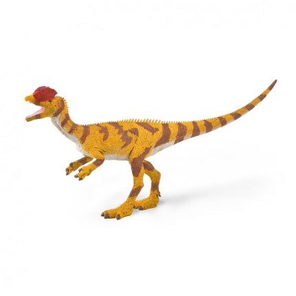 DILOPHOSAURUS ESCALA 1:40 - L - 88923 - COLLECTA