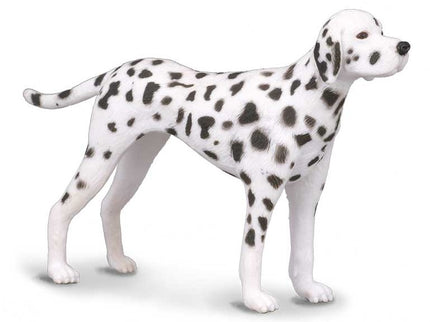 DROP DALMATA -M- 88072 COLLECTA