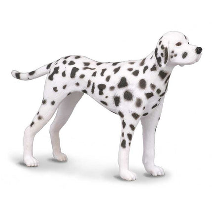 DROP DALMATA -M- 88072 COLLECTA