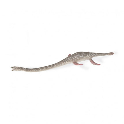 ELASMOSAURUS - 88922 - COLLECTA