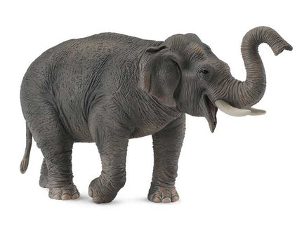 ELEFANTE ASIATICO -XL- 88486 COLLECTA