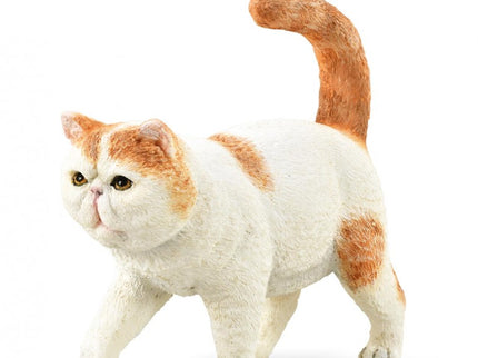 GATO EXOTICO PELO CORTO - S - 88937 - COLLECTA