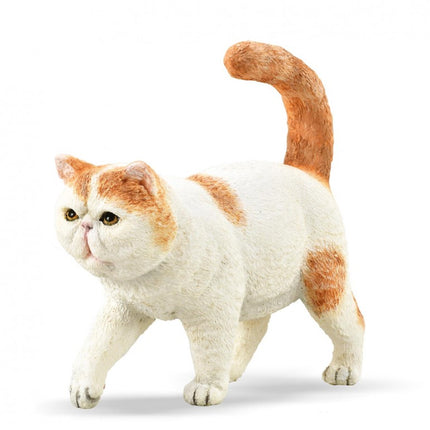GATO EXOTICO PELO CORTO - S - 88937 - COLLECTA