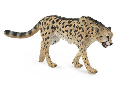 GUEPARDO -L- 88608 COLLECTA