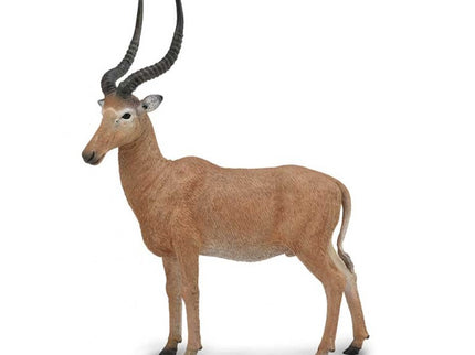 HIROLA - L - 88757 - COLLECTA