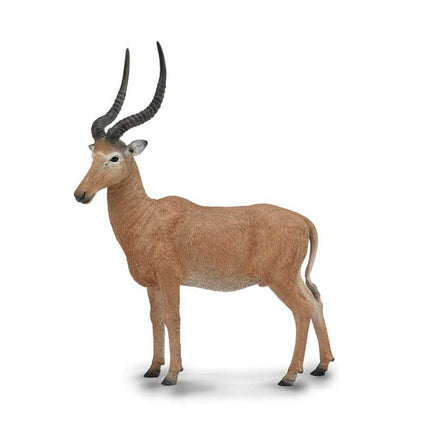 HIROLA - L - 88757 - COLLECTA