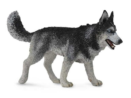 HUSKY SIBERIANO -L- 88707 COLLECTA
