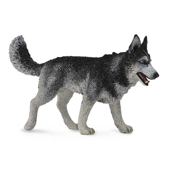 HUSKY SIBERIANO -L- 88707 COLLECTA