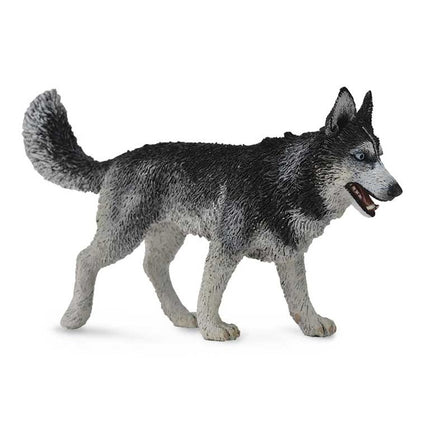 HUSKY SIBERIANO -L- 88707 COLLECTA