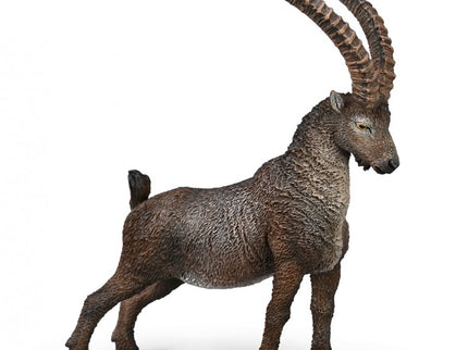 ÍBICE - L - 80020 - COLLECTA