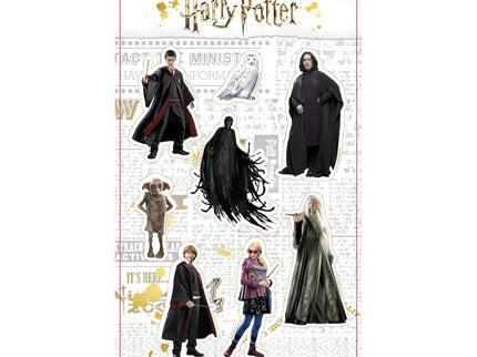 Blister 8 imanes Personajes Harry Potter