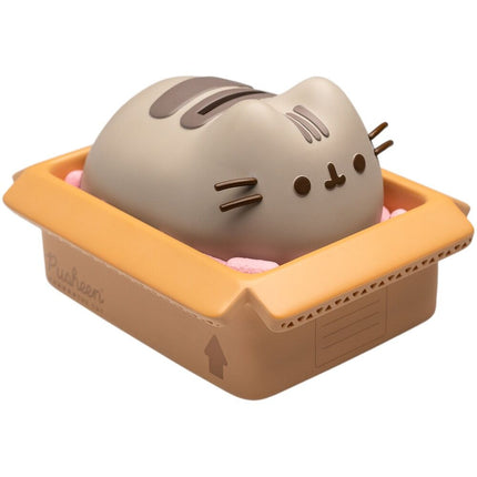 Pusheen Hucha