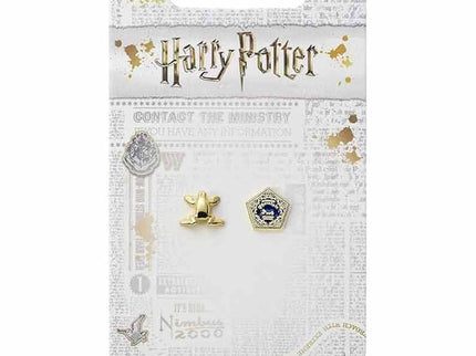 Pendientes Chocolate Frog Harry Potter
