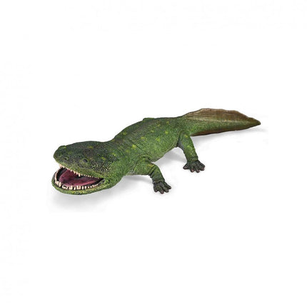 KOOLASUCHUS CLEELANDI -DELUXE 1:20-88988 - COLLECTA