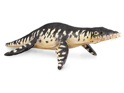 LIOPLEURODON -L- 88237 COLLECTA