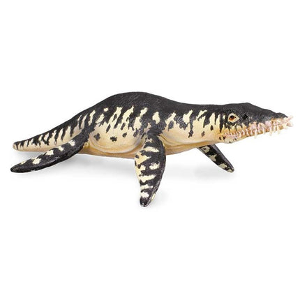 LIOPLEURODON -L- 88237 COLLECTA