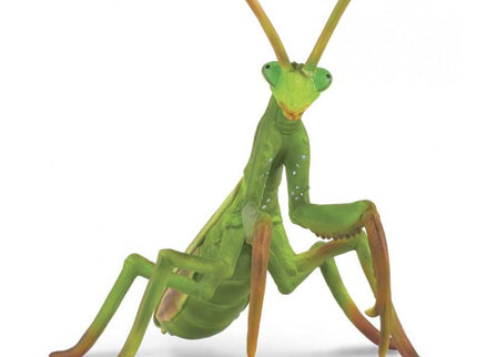 MANTIS RELIGIOSA -L- 88351 COLLECTA