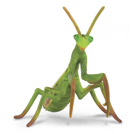 MANTIS RELIGIOSA -L- 88351 COLLECTA