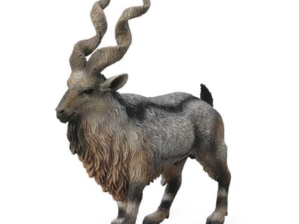 MARJOR -L- 88641 COLLECTA