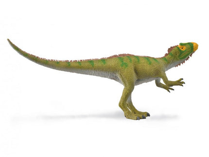 NEOVENATOR GRAN HOCICO - M - 88917 - COLLECTA